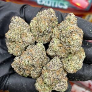 Sweetz Exotics Sushi Bar Edition