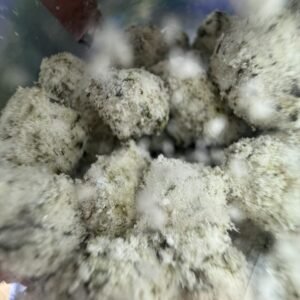 bounty farms snowcaps