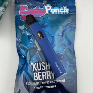 Kushy Punch Disposable