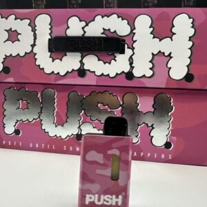 Push 2G Disposable With Screen