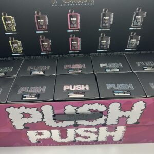 Push 2G Disposable With Screen